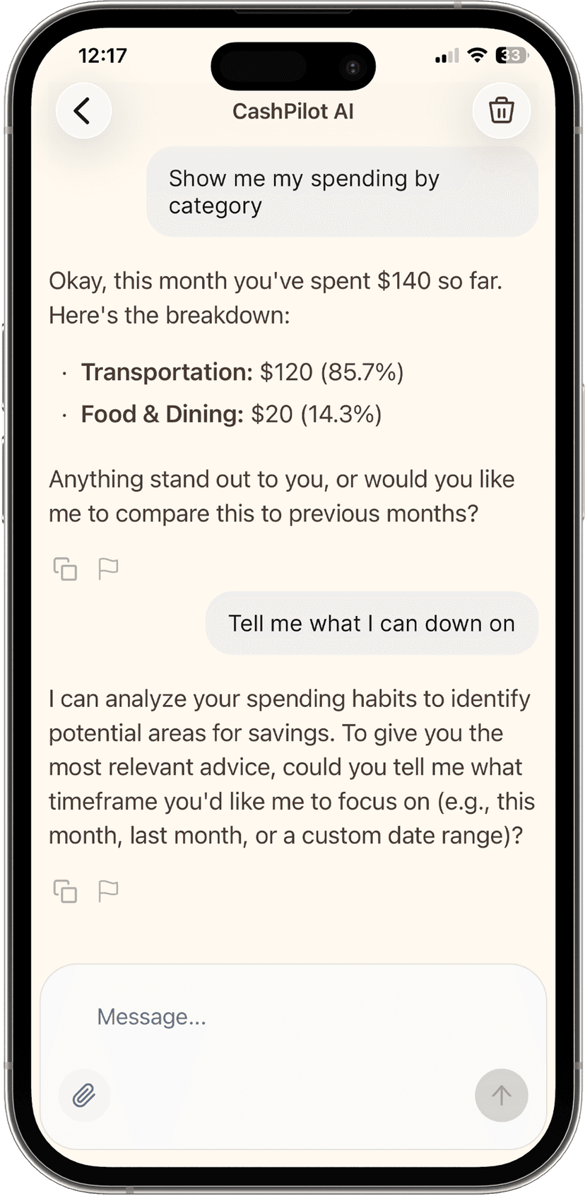 CashPilot screenshot 4